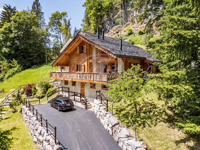 Luxuriöses Chalet zu verkaufen Nyon, Kanton Waadt