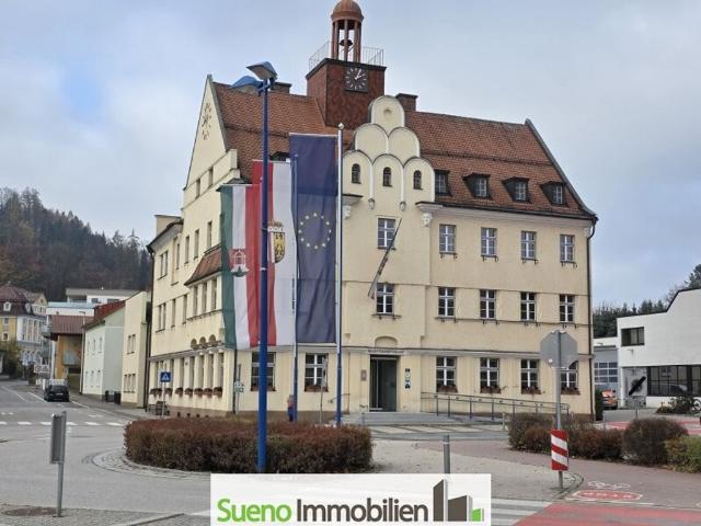 Luxuriöses Haus zu verkaufen in Bad Schallerbach, Oberösterreich