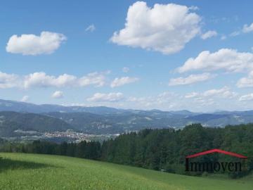 Luxuriöses Haus zu verkaufen in Edelschrott, Steiermark