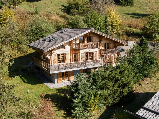 Luxuriöses 5 Zimmer Chalet zu verkaufen Chesières, Schweiz