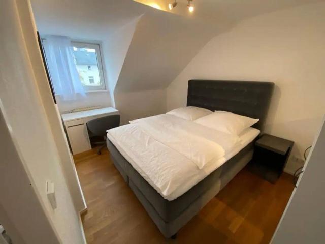 Luxurious 3 Bedroom apartment in the middle of Frankfurt district, Frankfurt Amsterdam Apartments for Rent