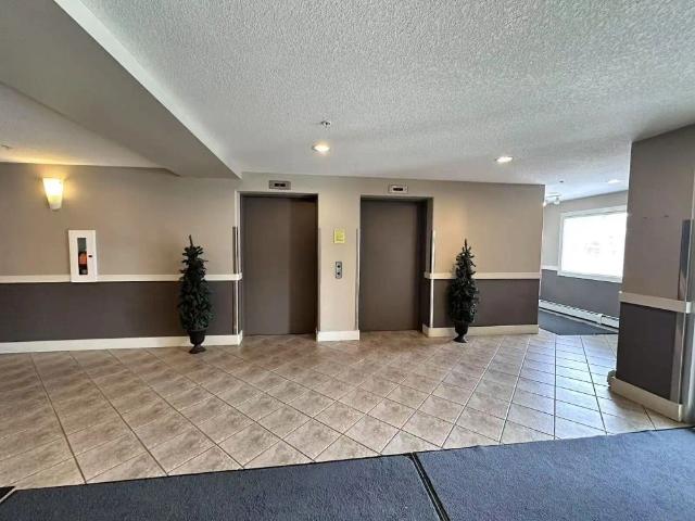 Luxurious 2BR + 2BA Condo for Rent in McEwan Complex! — 2 Bedrooms Condo Unit