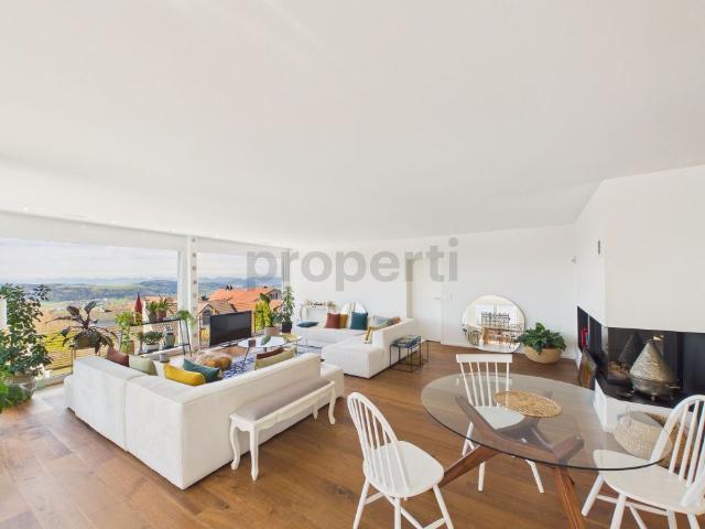 Luxurious 5.5 room apartment in Bellikon with private elevator access