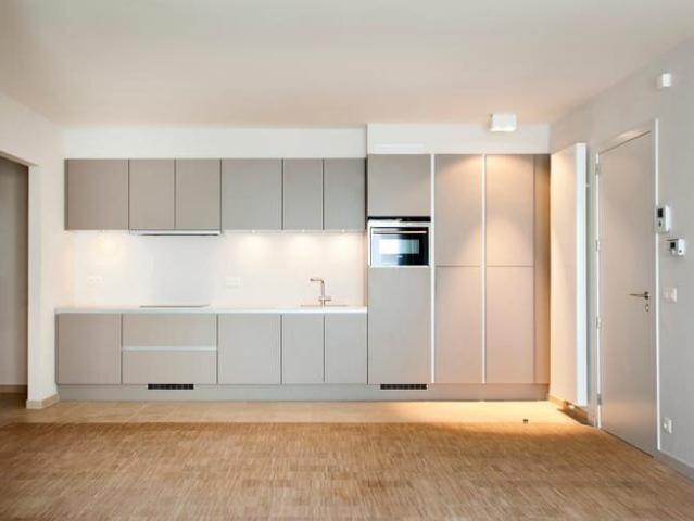 luxurious and characterful apartment