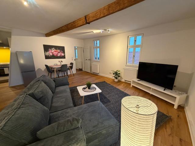 Luxurious and unique house in Alzey City
