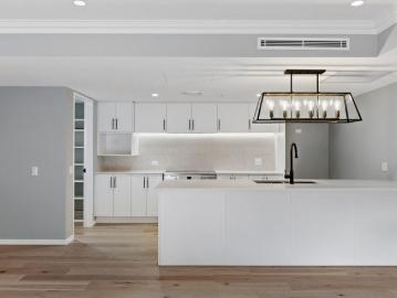 Luxurious Apartment