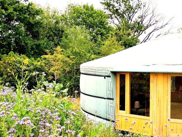 Luxurious BigTinyHouse in full nature AND near Brussels!
