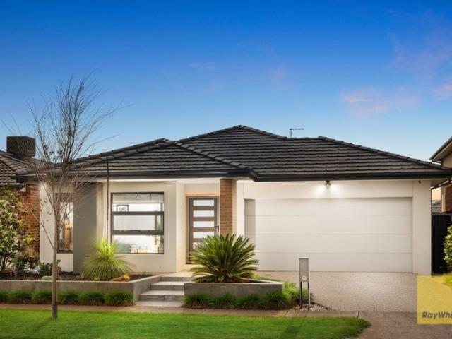 Luxurious Family Living with Premium Upgrades