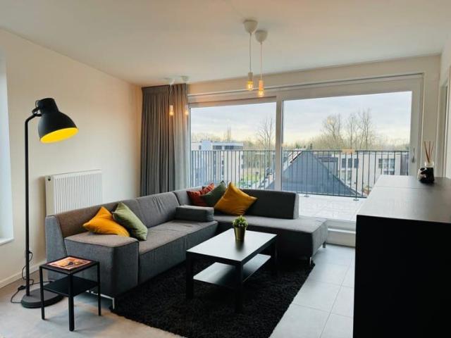 Luxurious, fully furnished PENTHOUSE with 2 terraces