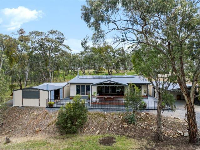 Luxurious Living Amongst the Gumtrees