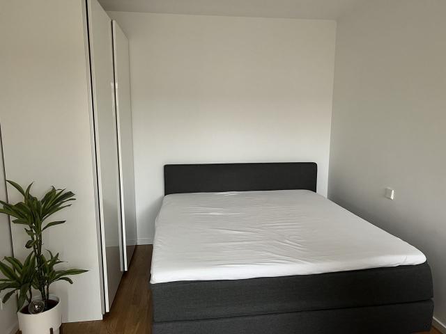 Luxurious, stylish 2 room flat near Prenzlauer Berg, Berlin Amsterdam Apartments for Rent