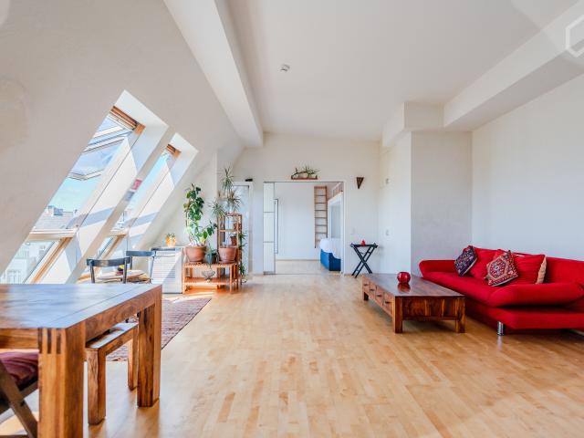 Luxurious Rooftop with breathtaking park view in Prenzlauer Berg