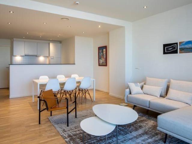 Luxurious two bedroom apartment – Parc Royal / rue de la Loi