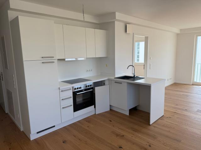 Modern furnished 2 room apartment with high quality fittings in Berlin