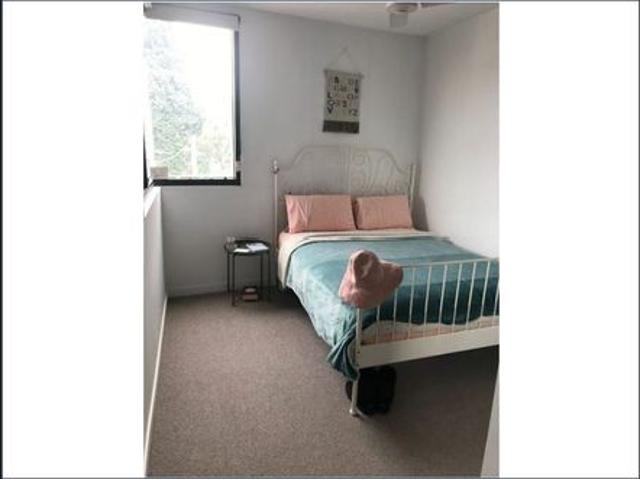 Luxury 1 bedroom Apartment