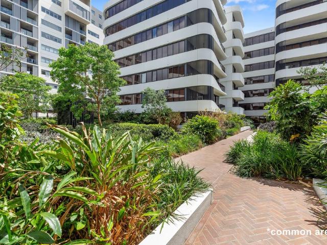 Luxury 1 Bedroom Apartment with Spectacular Views