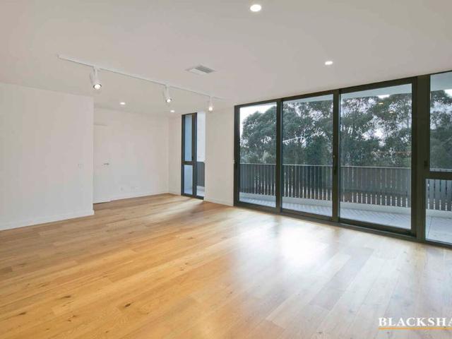 Luxury 2 bedroom apartment