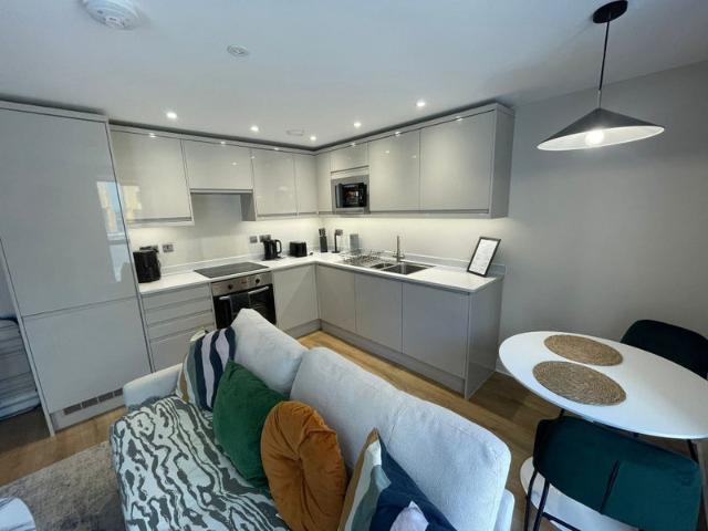 Luxury City Centre Flat, Immediate let only