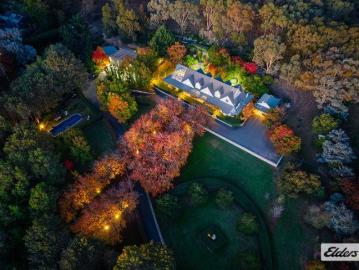 Luxury Among the Trees A Rare Murray View Road Offering