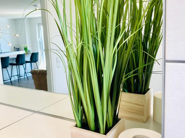 Luxury and exclusive fully furnished and equipped apartment incl. Netflix, Internet, Energy, Dusseldorf Amsterdam Apartments for Rent