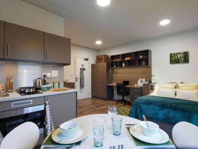 Luxury Adaptable Studio