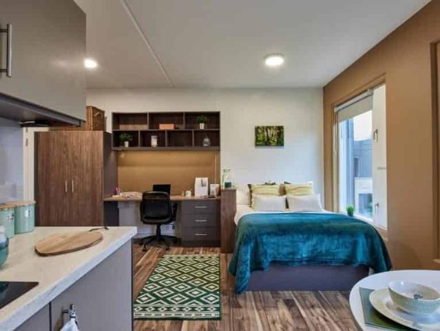 Luxury Adaptable Studio