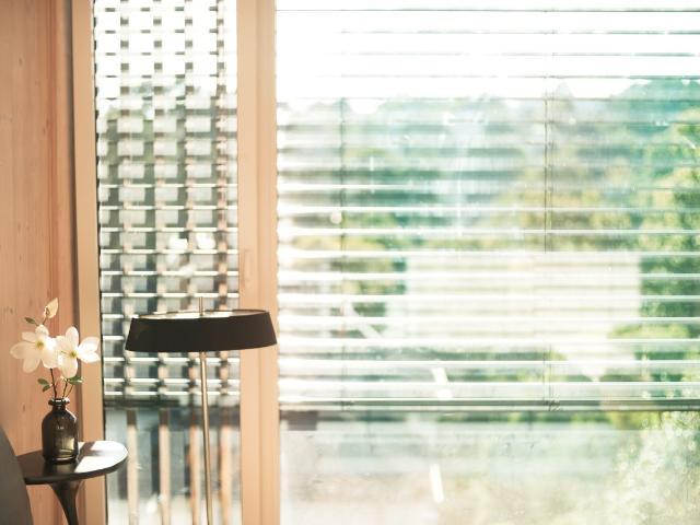 Luxury Apartment at the Park with stunning view free parking more pictures on request, Wiesbaden Amsterdam Apartments for Rent