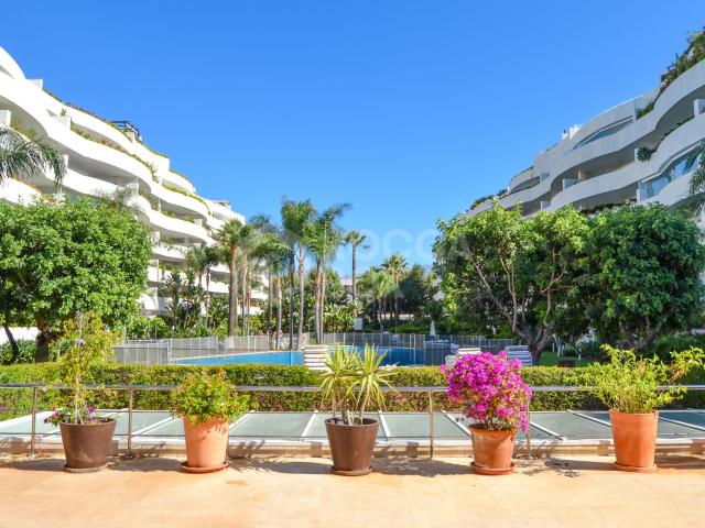 Luxury apartment for rent