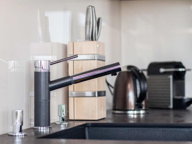 Luxury apartment in Berlin Mitte overlooking Mauerpark, corner of Prenzlauer Berg