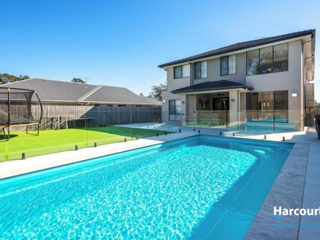 Luxury Family Living with Poolside Entertaining in Hillcrest with Swimming pool