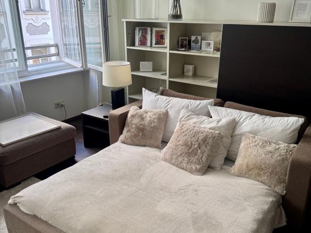 Luxury Flat in the heart of Vienna