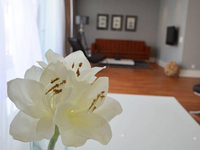 Luxury furnished and spacious serviced apartment for up to 4 persons in Frankfurt near Main Tower, Frankfurt Amsterdam Apartments for Rent