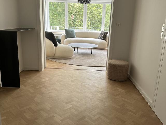 Luxury furnished apartment