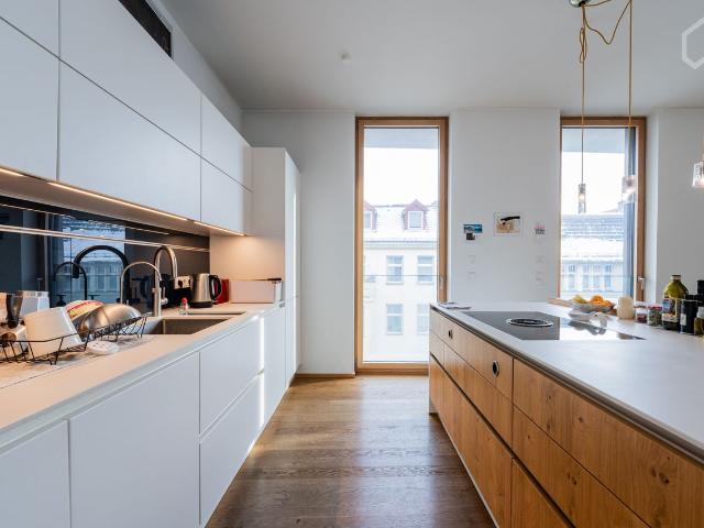 Luxury Oasis in Mitte Kreuzberg w/ 3BR, Pool and Sauna, Berlin Amsterdam Apartments for Rent
