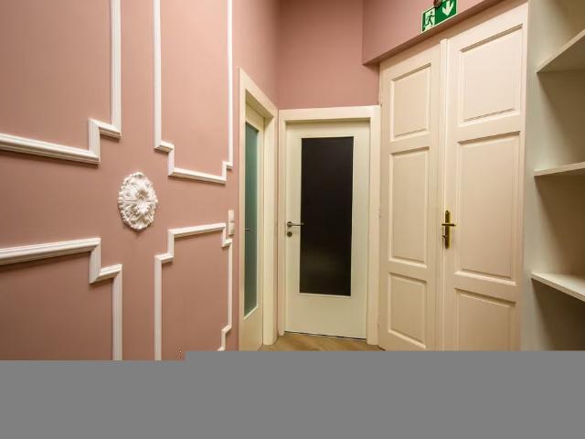 Luxury Loft directly on shopping street, Vienna Amsterdam Apartments for Rent