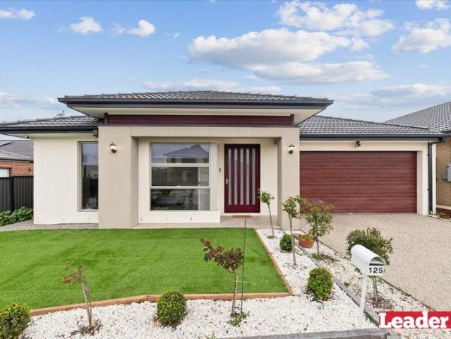 Luxury Living in Kalkallo ! Your Perfect Family Home Awaits