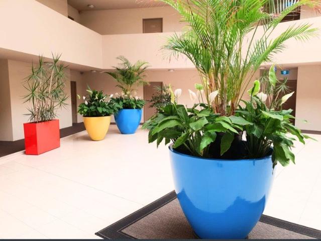 Luxury Living in Lightsview Fully Furnished 2 Bed, 2 Bath Apartment