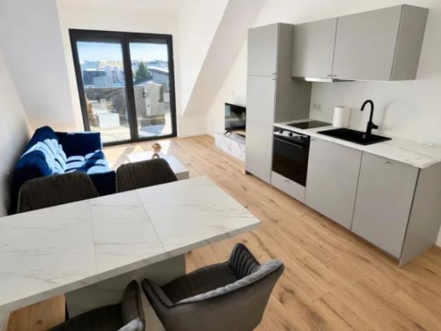 Luxury Living! Penthouse mit knapp 30qm Dachterrasse! Skyline & Kahlenberg Blick! Garage! Nähe U2!
