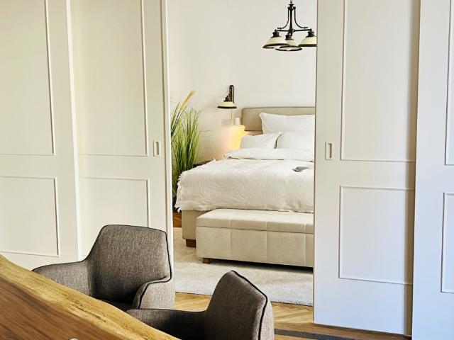 Luxury modernized Apartment in the heart of Vienna