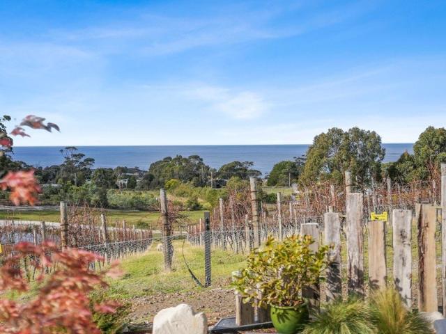 Luxury Meets Lifestyle: Bicheno's Ultimate East Coast Retreat