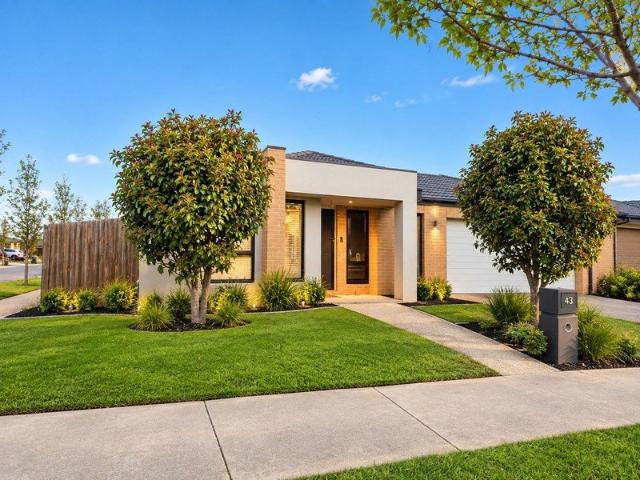 Luxury & newly renovated 4 Bedroom House in prime location of Maplewood Estate you can't miss!
