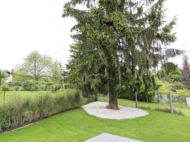 Luxury Single Family Home with Spa Area