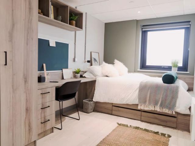 Luxury Studio Plus