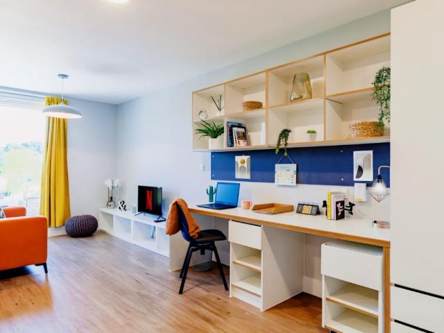 Luxury Studio