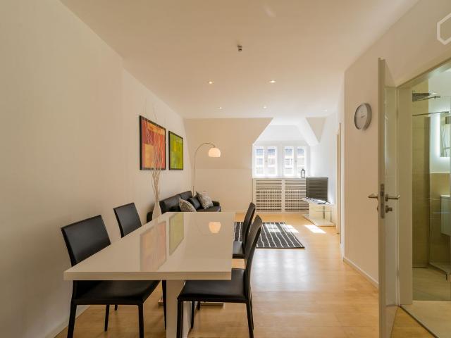 Luxury, stylish and freshly renovated apartment in Steglitz with rain shower, Smart TV!, Berlin Amsterdam Apartments for Rent