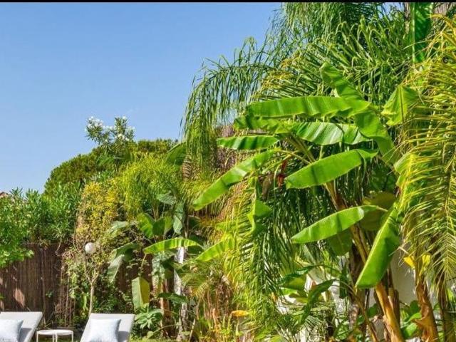 Luxury penthouse for rent in Nueva Andalucia, Andalusia