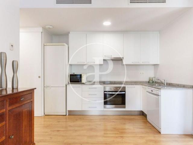 Luxury penthouse for rent in Valencia, Spain