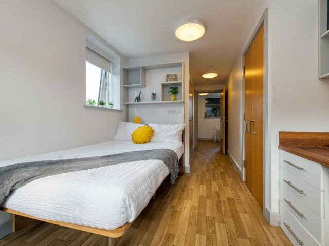 Luxury Plus Studio