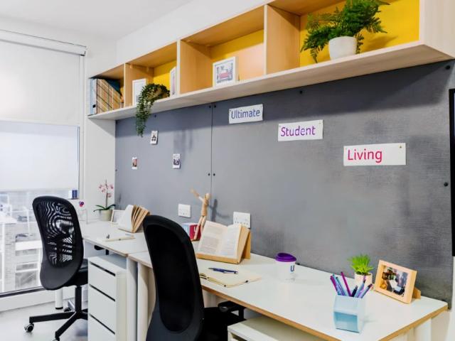 Luxury Plus Studio