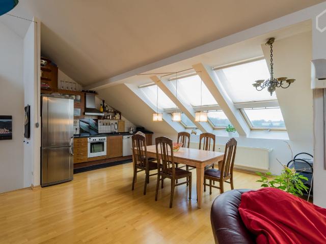 Luxury Rooftop in Mitte, Berlin Amsterdam Apartments for Rent